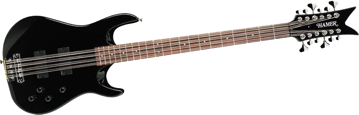 Acoustic Electric Bass