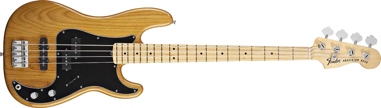 Acoustic Electric Bass