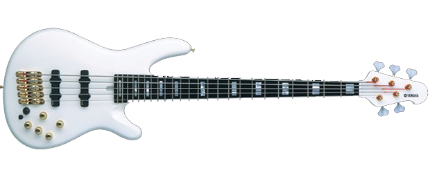 Acoustic Electric Bass
