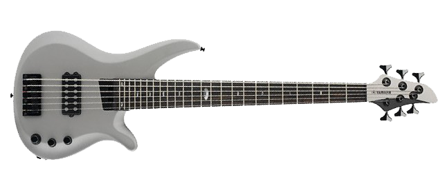 Acoustic Electric Bass