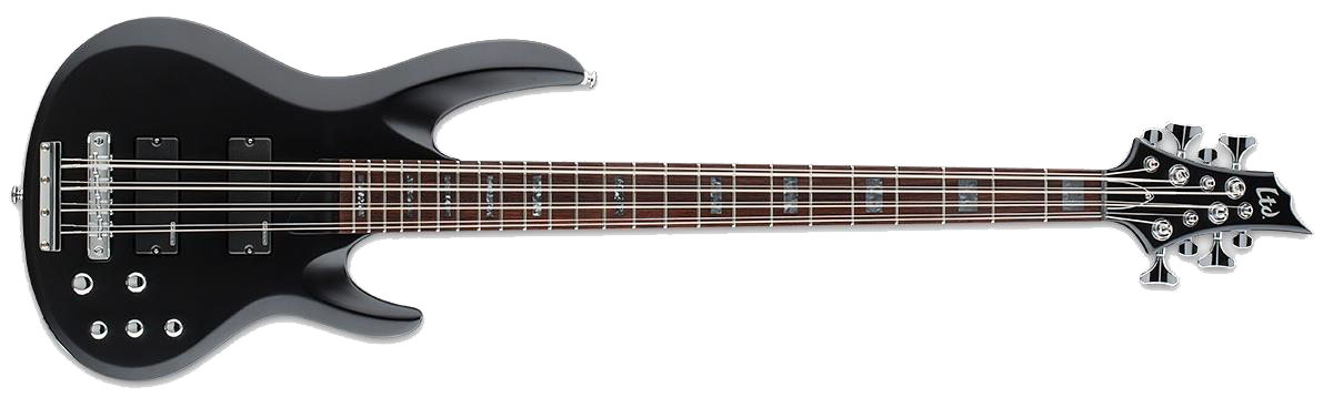 Acoustic Electric Bass