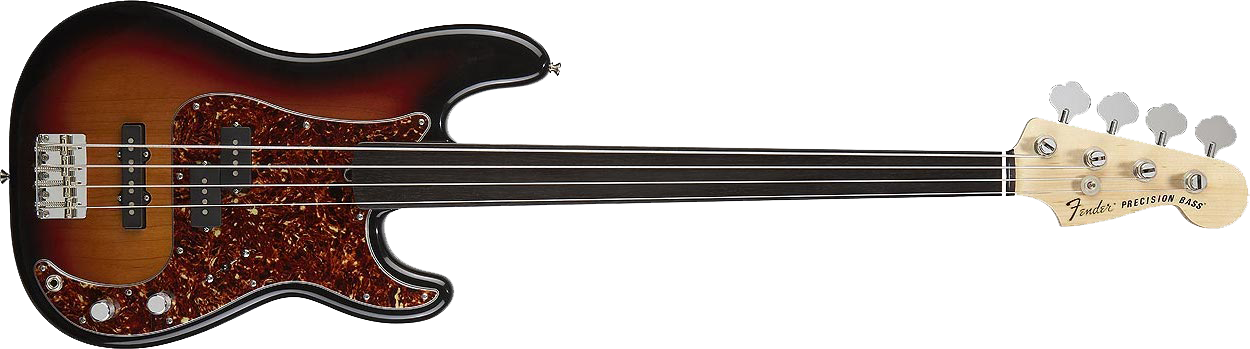 Acoustic Electric Bass